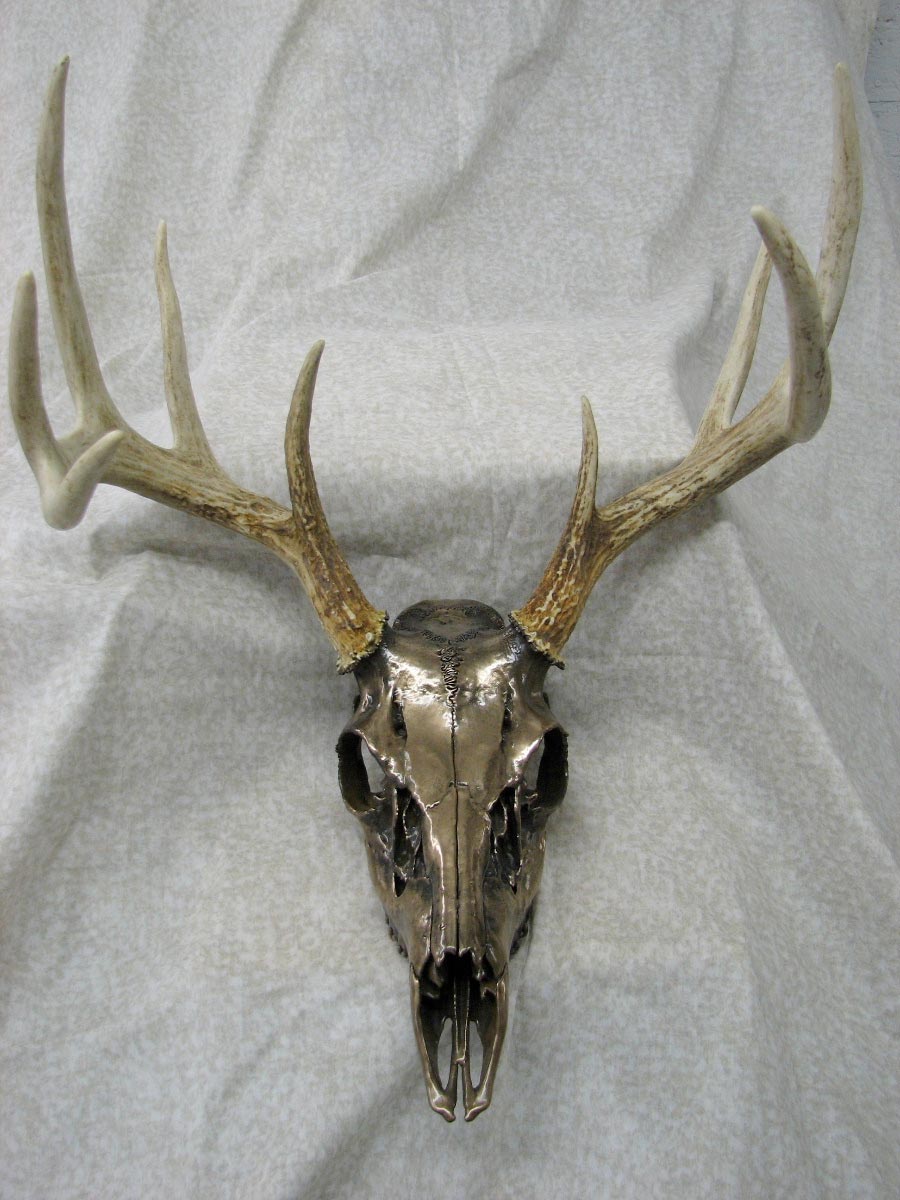 Bobcat Skull Head Mount Metal  ~ New 
